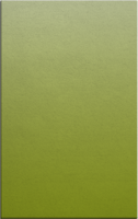 Gradient Lime